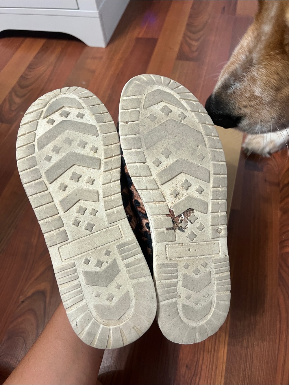 Leopard slip ons - Picture 2 of 3